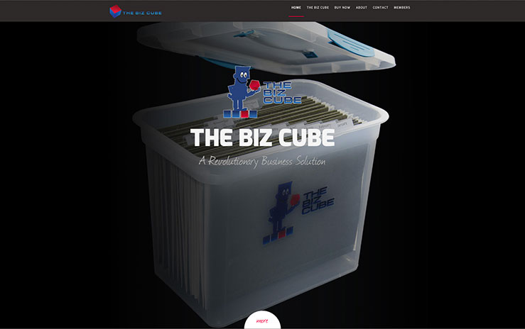 The Biz Cube